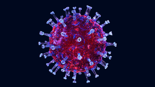 Sin medios contra el coronavirus: cómo España intentó huir a ...